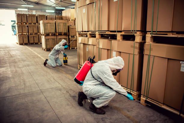 Professional Pest Control in Lake Bryan, TX