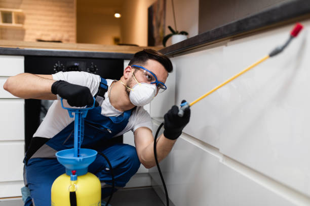 Best Flea Control Services  in Lake Bryan, TX