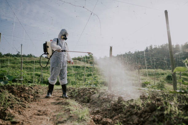 Best Mosquito Control Services  in Lake Bryan, TX